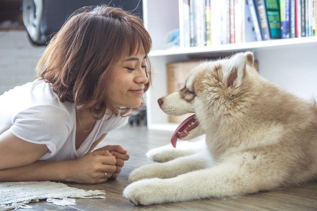 Valentines - image showing woman with dog visiting an animal shelter