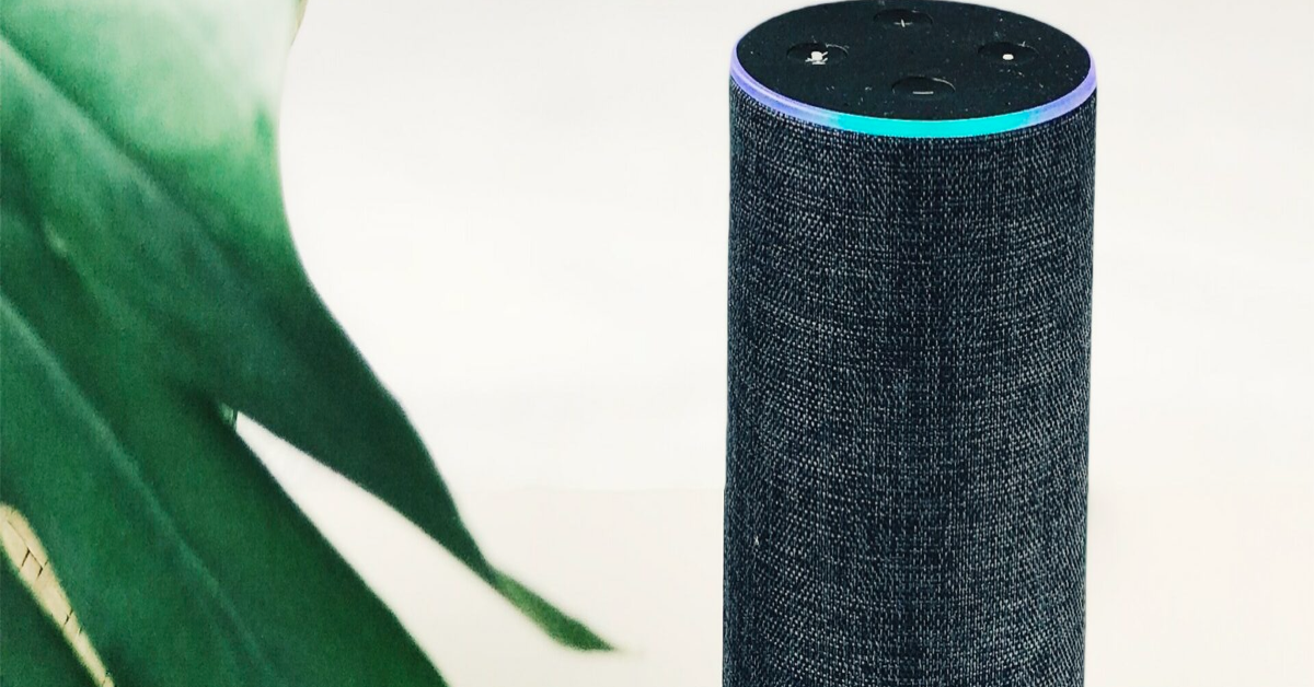 Zemplee and Alexa